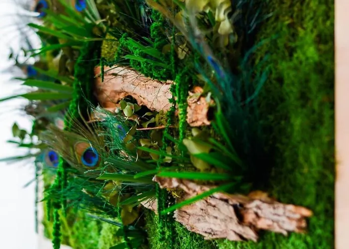 Lägenhet Thermal Fabuleux 3 Ch Garage Nancy